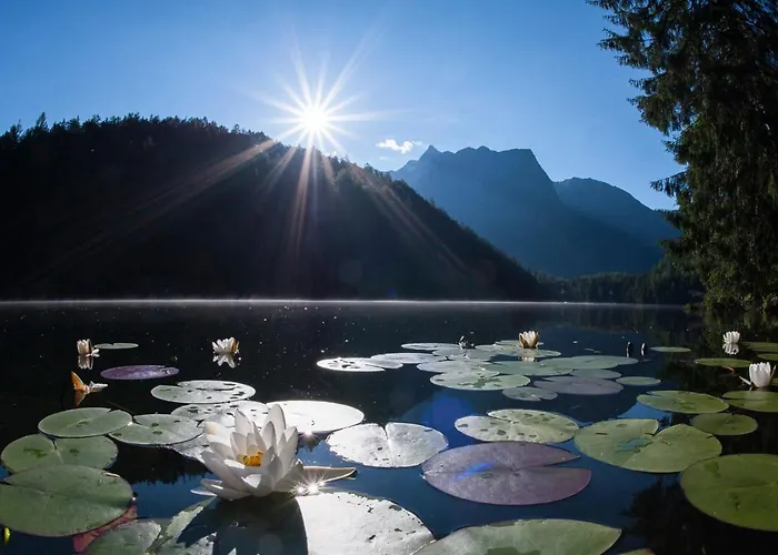 Appartamento Azalea Oetz