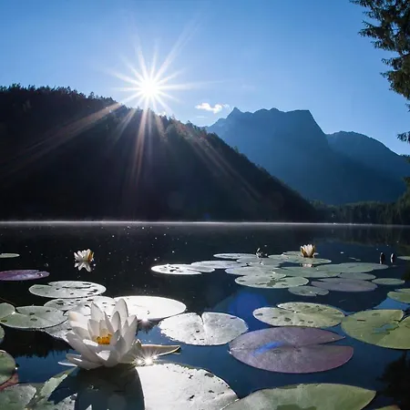 Lejlighed Azalea Oetz